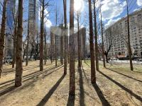 Maya Lin (American, b. 1959), Ghost Forest, 2021. Courtesy the artist and Madison Square Park Conservancy. Photo credit: Maya Lin Studio