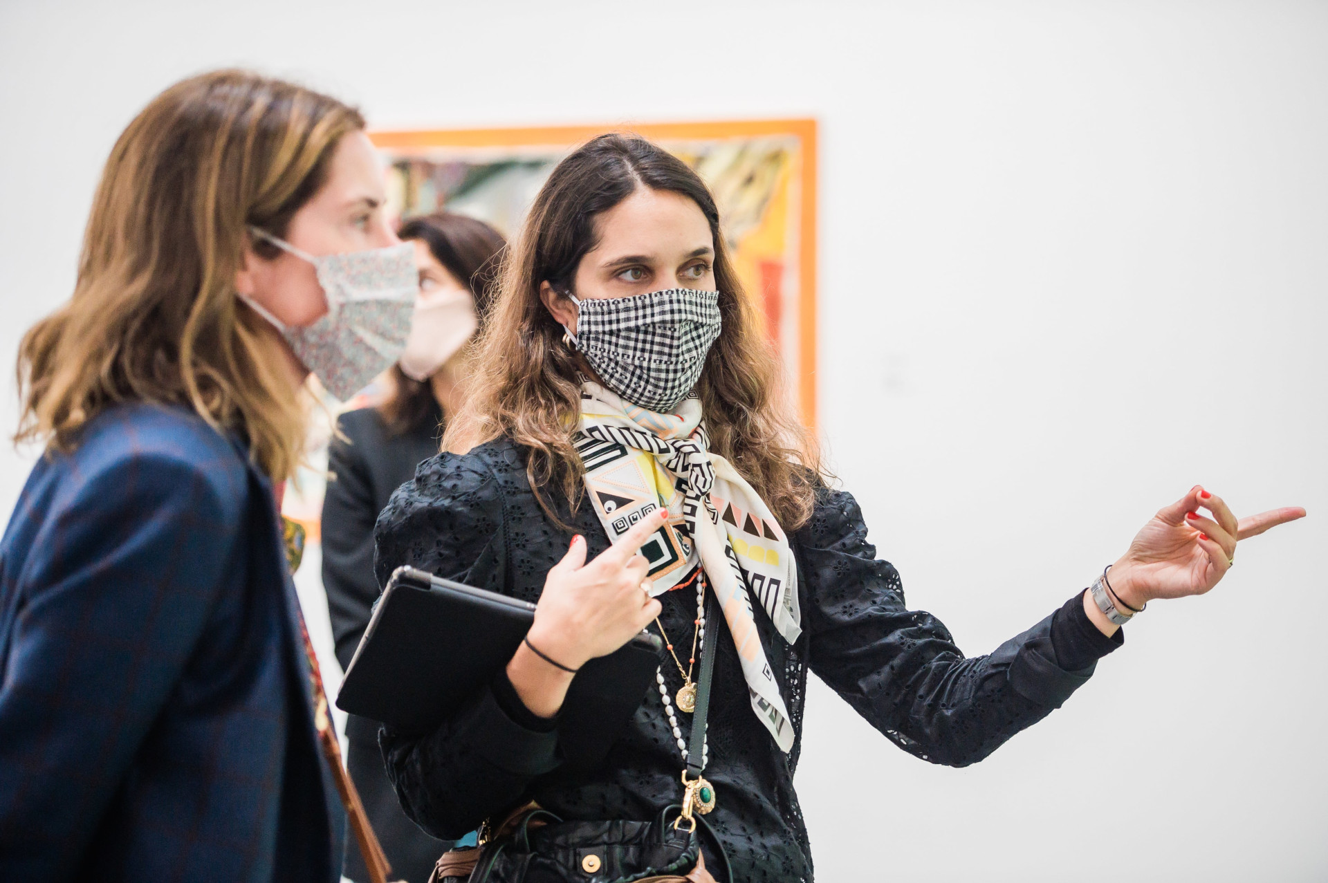 Private Art Collector Advisory Services