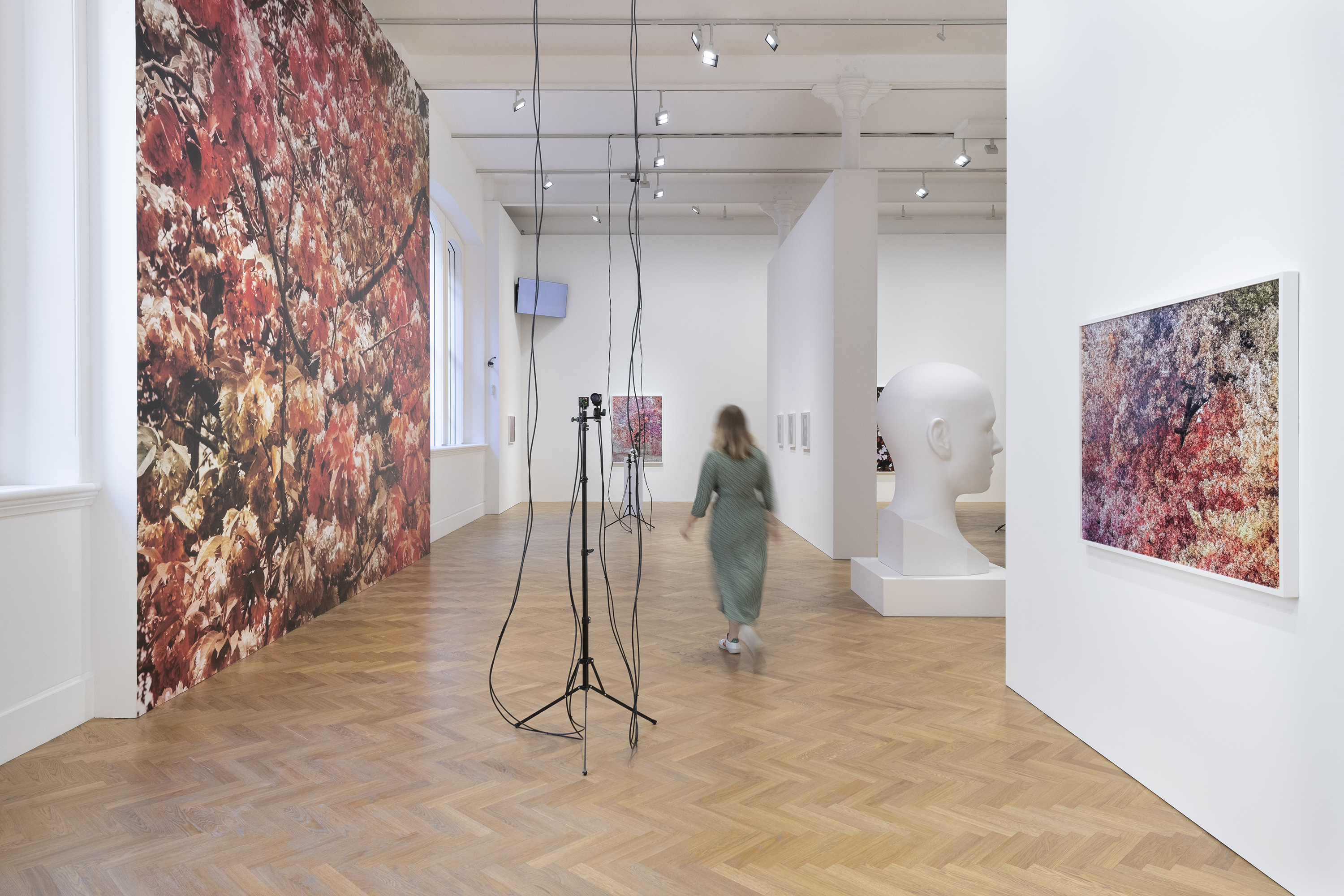 Installation view of Trevor Paglen: Bloom, Pace Gallery, 6 Burlington Gardens, London, September 10 – November 10, 2020.