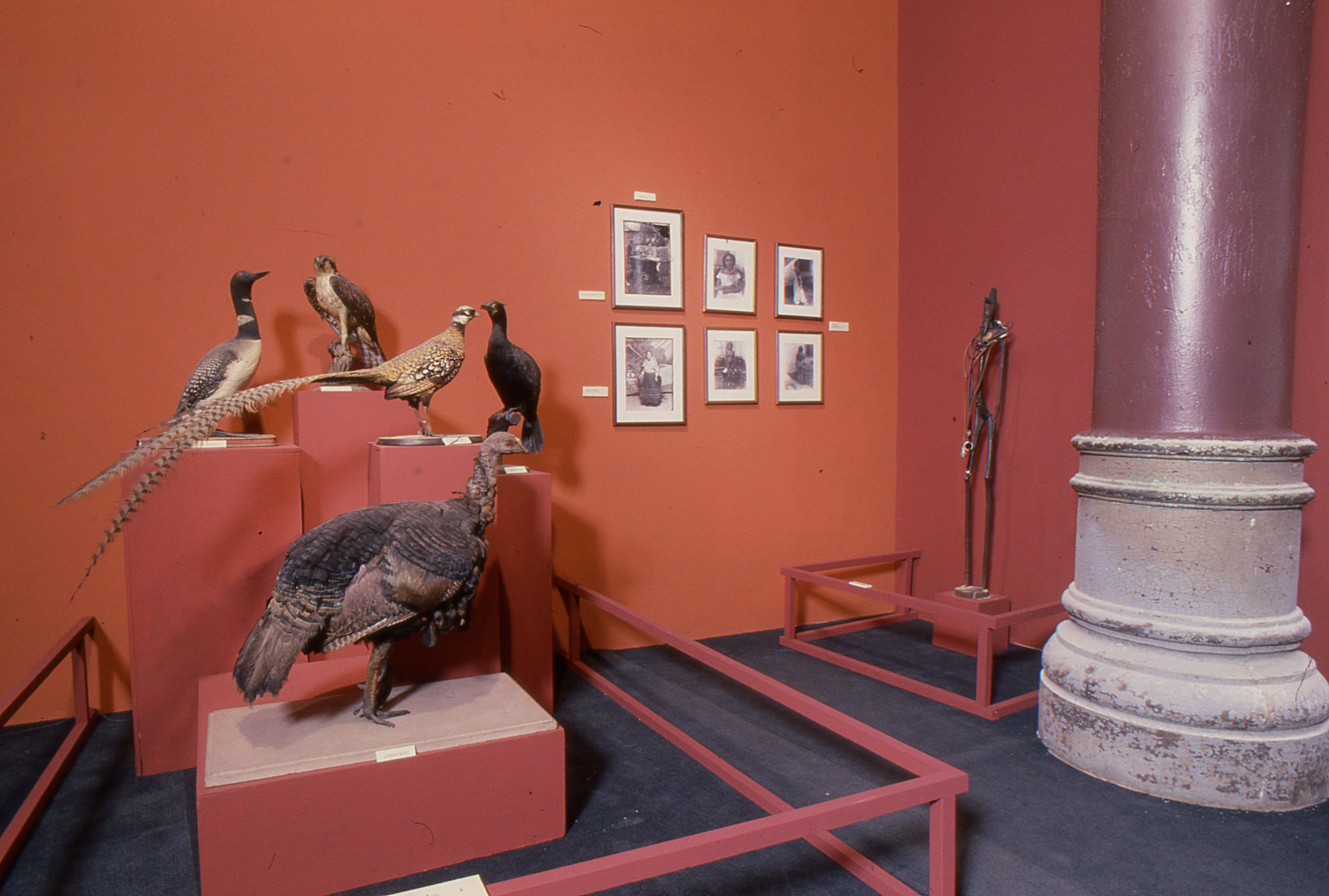 Installation shot of Fred Wilson, 'The Other Museum,' at White Columns, May 18-June 12, 1990. Image courtesy of White Columns.